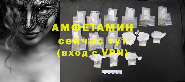 гидра Богданович