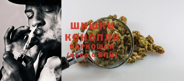 первитин Богородицк