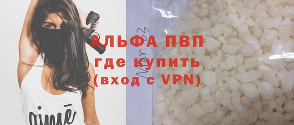 гидра Богданович