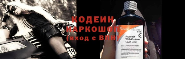 гидра Богданович