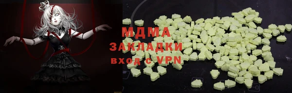 гидра Богданович