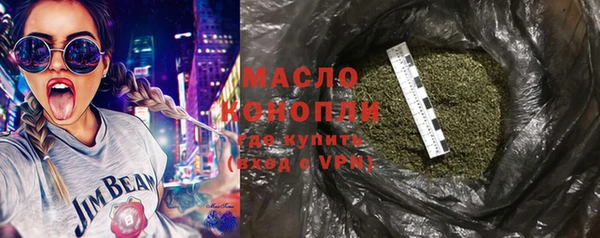 гидра Богданович