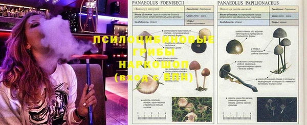 первитин Богородицк