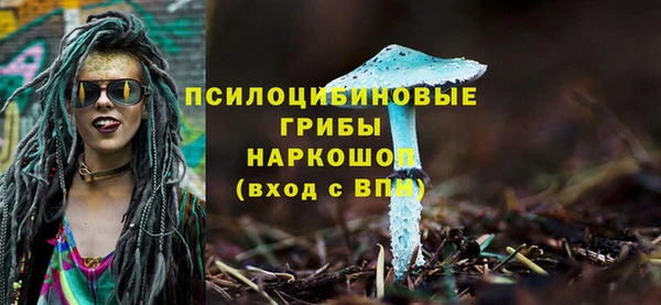 mix Богородск