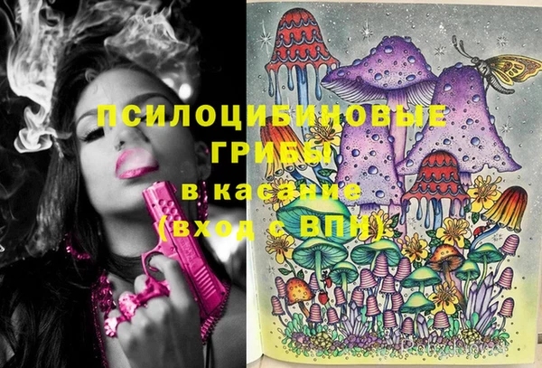 гидра Богданович