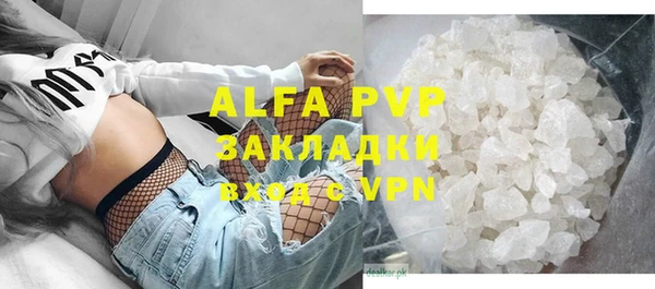 гидра Богданович