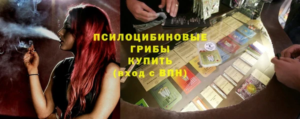 mix Богородск