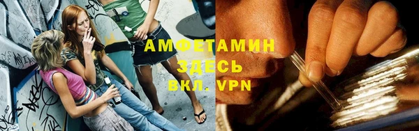 гидра Богданович