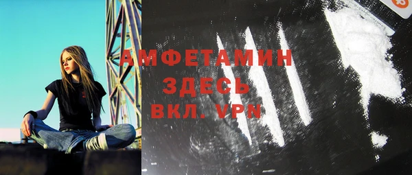 гидра Богданович