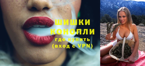 гидра Богданович