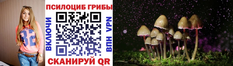 Псилоцибиновые грибы Psilocybine cubensis  закладки  Петропавловск-Камчатский 